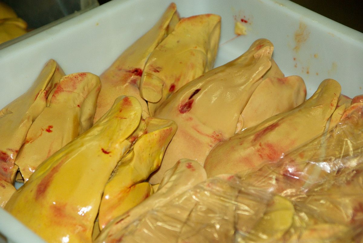 Foie gras