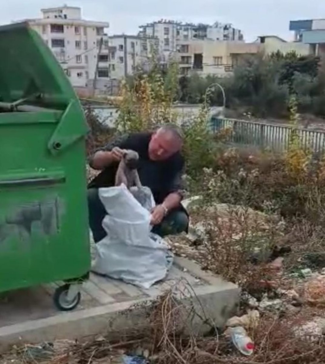 Osmaniye de çöpe atılan çuvaldan yavru köpekler çıktı #2