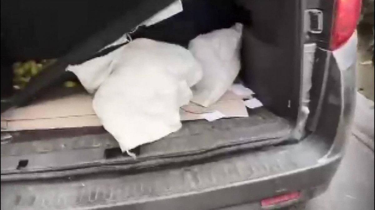 Şişli de aracının bagajındaki çuvaldan kedi çıkan 2 kişinin cezası belli oldu #1