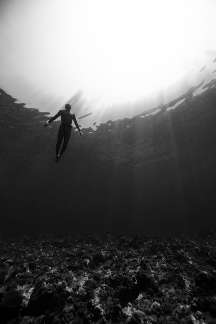 Bu deniz fotoğrafları sizi korkutuyorsa talasofobiniz olabilir!