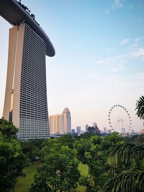Bu ülkede tek bir çöp bile yok! Singapur'daki çöplerin hepsi elektriğe dönüşüyor