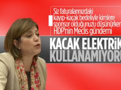 HDP’li Meral Müracaat Et Beştaş, firari elektrik kullanan semtliyi korundu