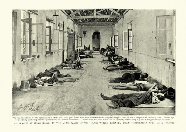 Dünyanın en kötü yılı M.S. 536 yılı! Tarihin en kötü yılı M.S. 536 yılında neler yaşandı?