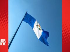 Guatemala’da yarım ton kokain ele geçirildi