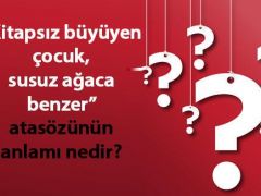 Kitapsız Gelişen Çocuk Susuz Ağaca Eş Atasözünün Anlamı Nedir? Kısaca Açıklaması Ve Misal Tümce…