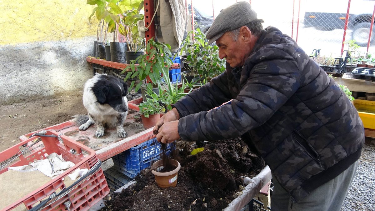 Yozgat ta motosiklet tutkunu köpek görenleri hayrete düşürüyor #2