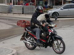 Yozgat’ta motosiklet tutkunu köpek görenleri hayrete düşürüyor