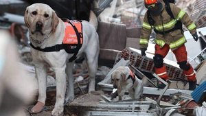 Ayaklarında bandajla çalışıyorlar