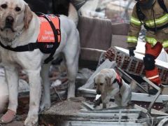 Ayaklarında bandajla çalışıyorlar