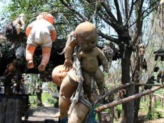 Bu adanın her yanı ürkütücü bebeklerle kaplı