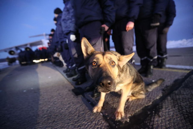 Türkiye'yi sarsan depremlerin ardından dünyadan Türkiye'ye destek