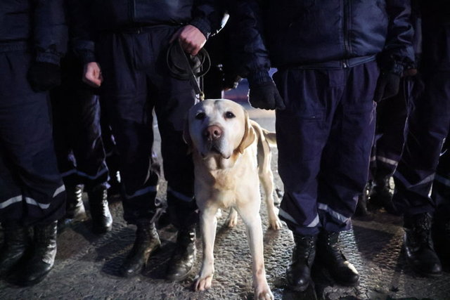 Türkiye'yi sarsan depremlerin ardından dünyadan Türkiye'ye destek