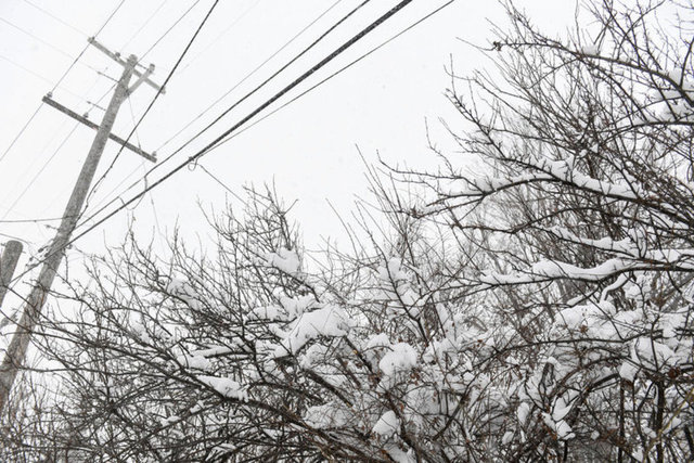 Termometreler -78 dereceyi gösterdi: ABD'nin kuzeydoğusunda 