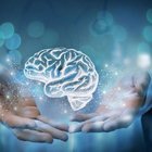 YÜKSEK ZEKAYI GÖSTEREN 7 İŞARET!