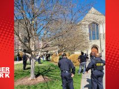 ABD’de bir ilkokulda silahlı saldırı: 6 ölü