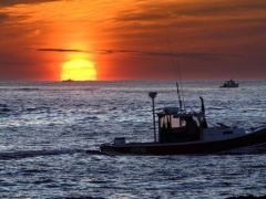 Avrupa’nın en sıcak ikinci kışı!