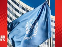 BM, kokain üretiminin yüzde 35 arttığını açıkladı