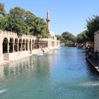 BALIKLIGÖL BALIKLARININ SIRRI NEDİR?