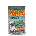 ISPANAĞIN DEMİR ORANI ASLINDA NE KADAR?