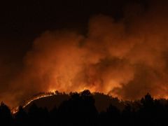 İspanya’da orman yangınları: Yüzlerce kişi tahliye edildi