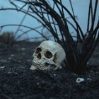 SIRBİSTAN'IN EN ESKİ VAMPİR EFSANESİ: PETAR BLAGOJEVİĆ