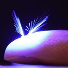 POLENLEŞMEYİ SAĞLAYAN MİNİK ROBOTLAR