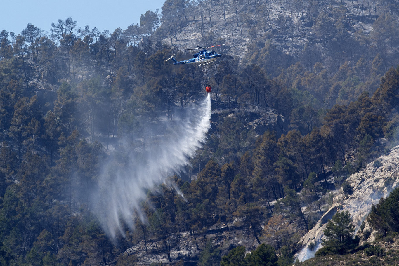 İspanya'da yılın ilk büyük orman yangını! Binlerce hektarlık alan kül oldu