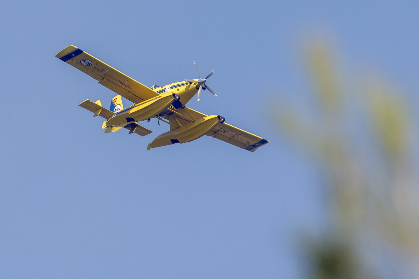 İspanya'da yılın ilk büyük orman yangını! Binlerce hektarlık alan kül oldu