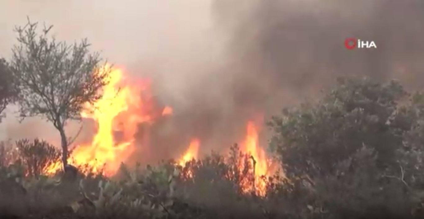 Fransa'da yangın: 1000 hektar alan zarar gördü, yüzlerce kişi tahliye edildi