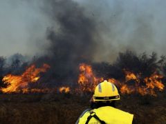 1000 hektar alan zarar gördü, yüzlerce kişi tahliye edildi
