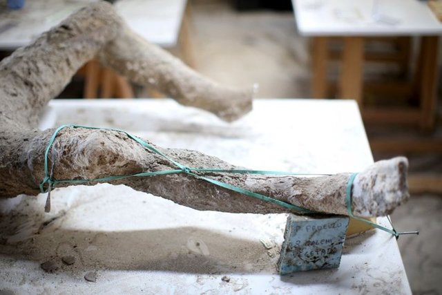 Vezüv patladı tüm şehir 15 dakikada olduğu yerde taşlaştı! İşte Pompei'nin ürkütücü öyküsü