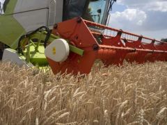 3 ülke Ukrayna’dan tahıl ithalatını durdurdu