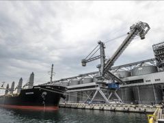 ABD’den Karadeniz tahıl anlaşması açıklaması