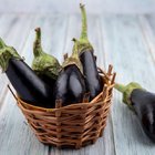 SEBZE ZANNEDİLEN ASLINDA MEYVE OLAN 10 BESİN