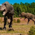 SOYU TÜKENEN HAYVANLARI NASIL BİLİYORUZ? 