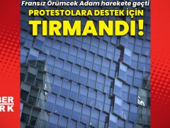 Fransız Örümcek Adam protestolara destek için tırmandı