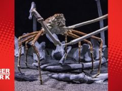 Hayvanlara dair şaşıracağınız 11 bilgi