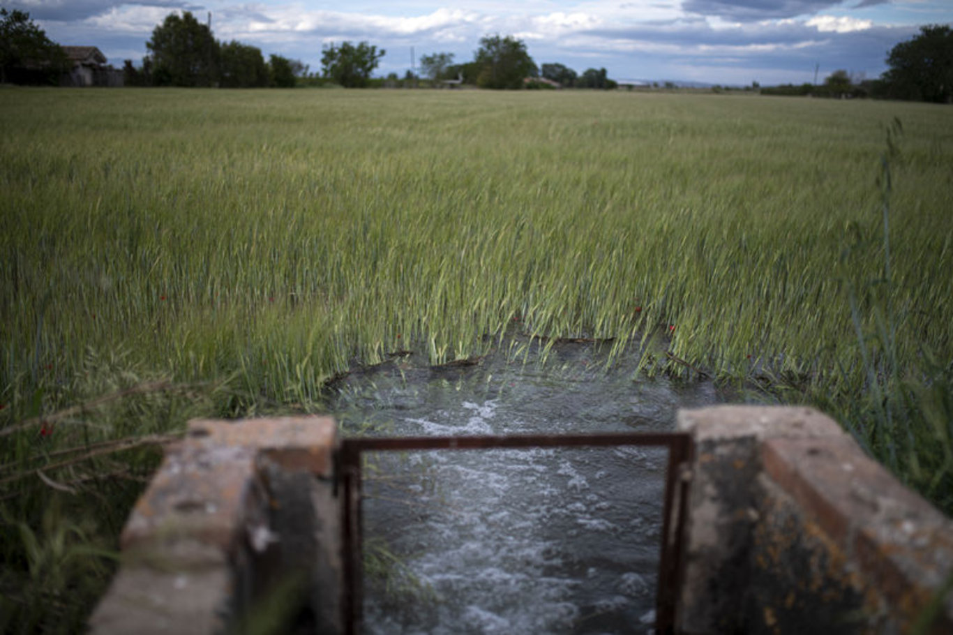 İspanya'da kuraklık nedeniyle 161 yıllık sulama kanalı devre dışı kalacak