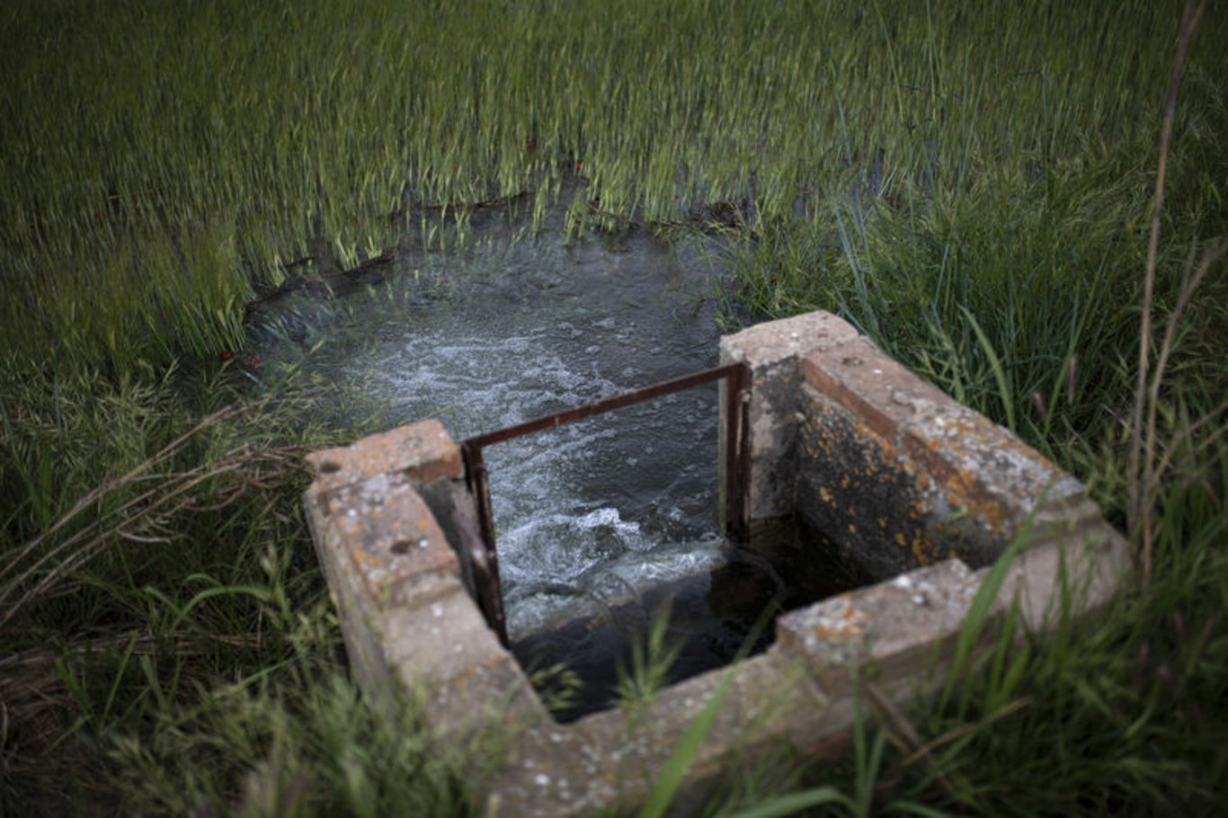 İspanya'da kuraklık nedeniyle 161 yıllık sulama kanalı devre dışı kalacak