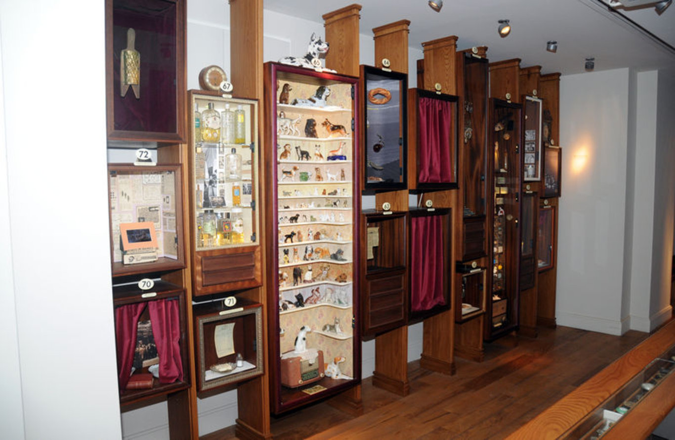 Orhan Pamuk'un kitabından uyarlanan Masumiyet Müzesi bir romanı 