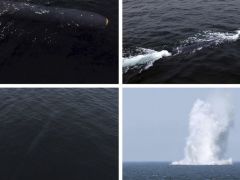 Kuzey Kore nükleer kapasiteli ‘su altı drone’unu test etti