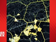 Ne hayvan ne bitki ama 720 cinsiyeti var!