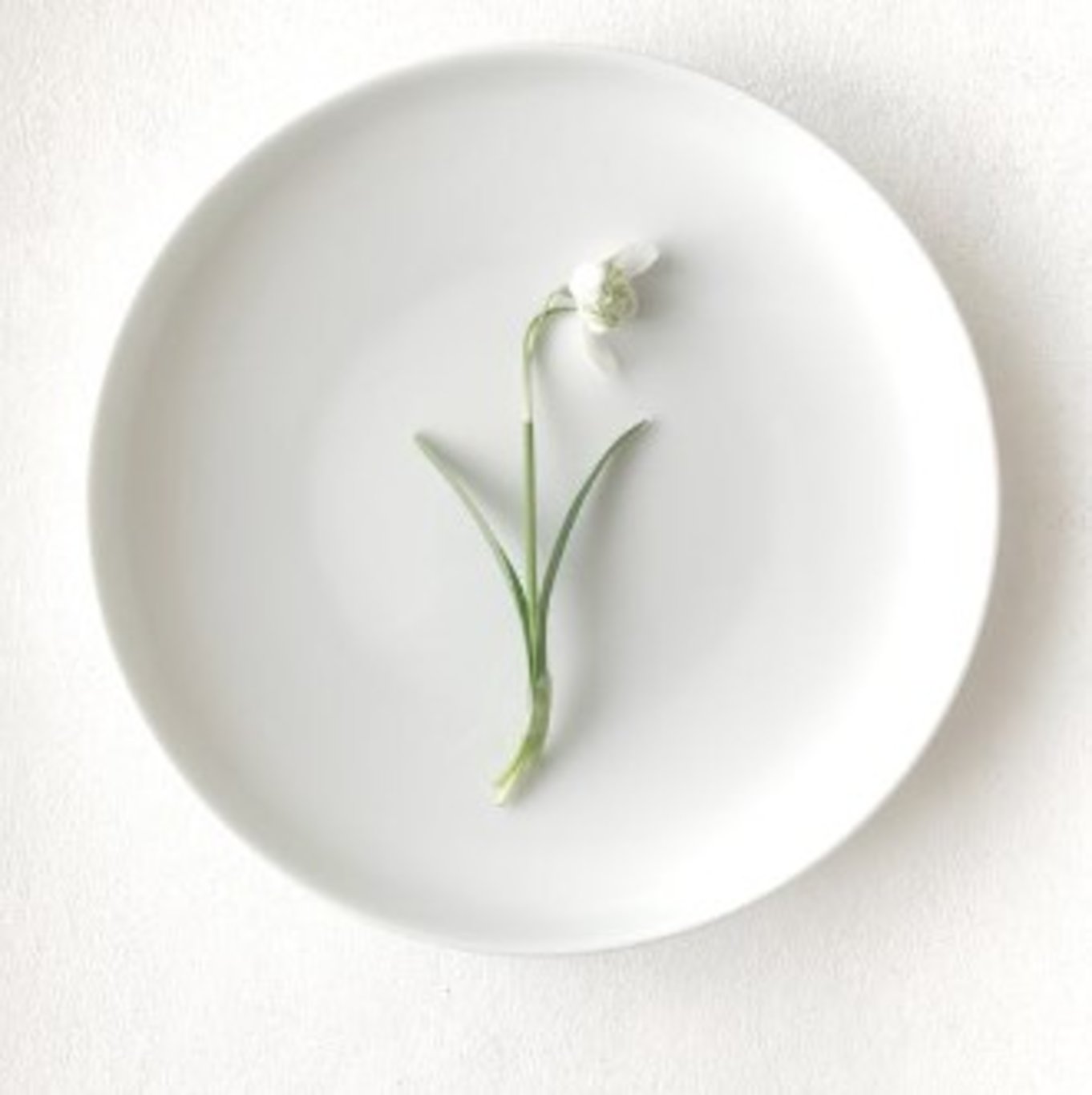 Siz fark etmeseniz de renkler sizinle konuşuyor! İşte renklerin psikolojik anlamları