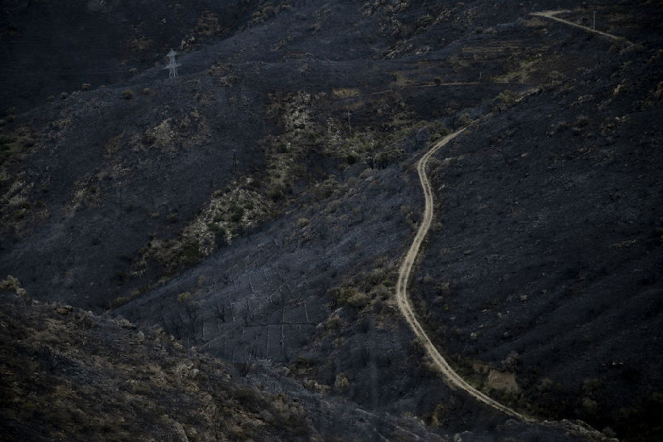 İspanya-Fransa sınırındaki orman yangını kontrol altına alındı