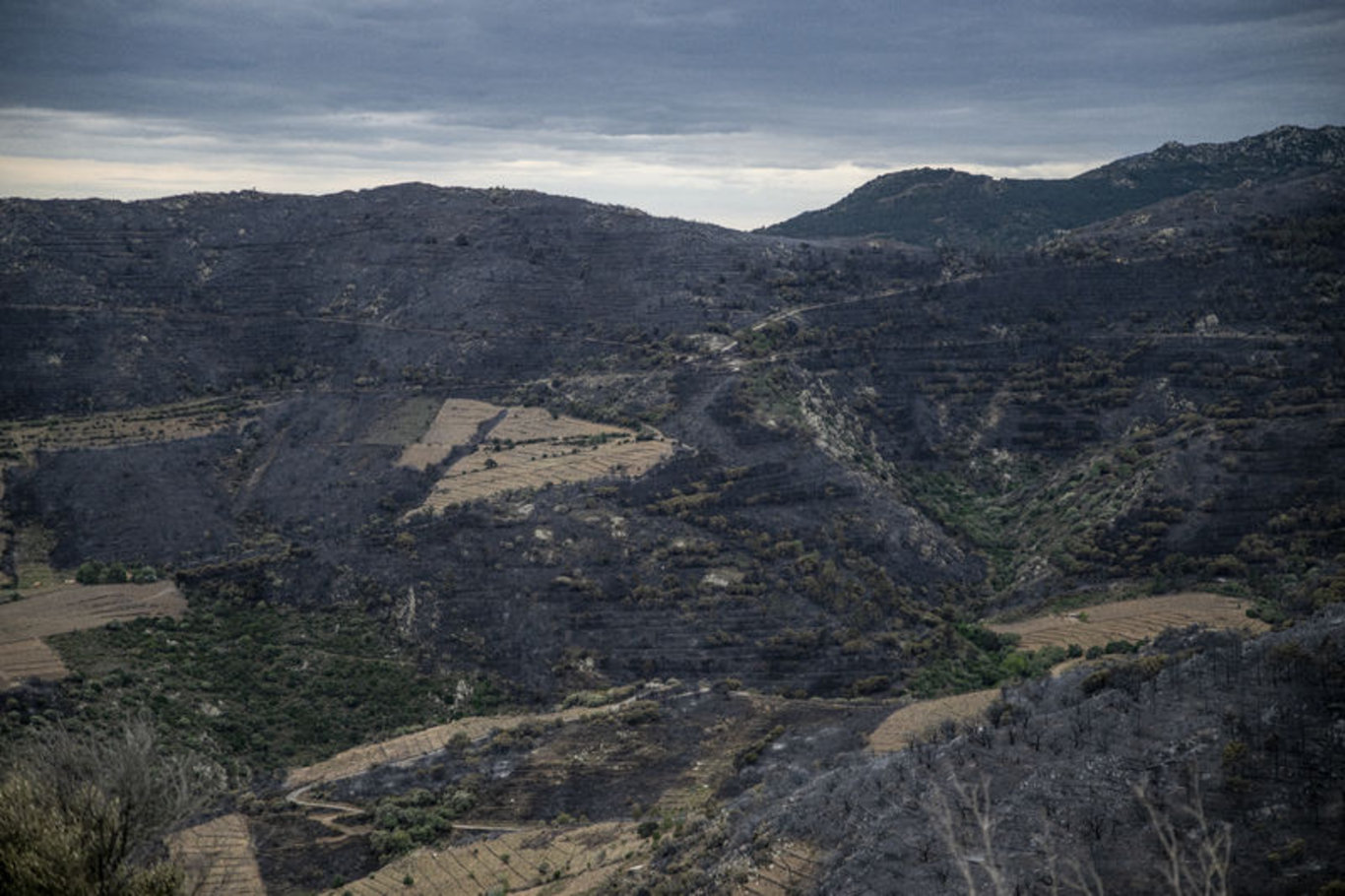 İspanya-Fransa sınırındaki orman yangını kontrol altına alındı