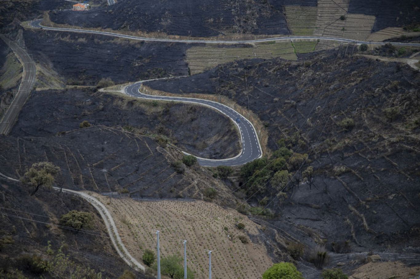 İspanya-Fransa sınırındaki orman yangını kontrol altına alındı