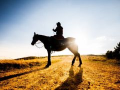 14 yaşında babasına isyan edince kör edilen şehzade