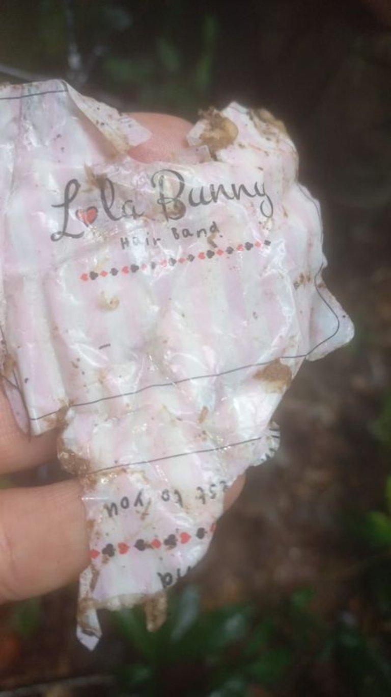 Kolombiya'da 17 gün önce düşen uçaktaki 4 çocuk sağ bulundu! 11 aylık bebek de kurtuldu! - En son haberler