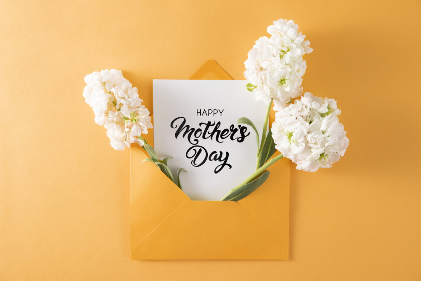 Anneler Günü hakkında daha önce duymadığınız 8 şaşırtıcı gerçek! İlk Anneler Günü...