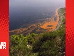 Araştırma: Gelgitler buzulların erimesini hızlandırıyor